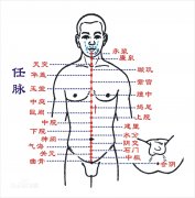 肚脐下方的任脉的作用任脉的穴位图解