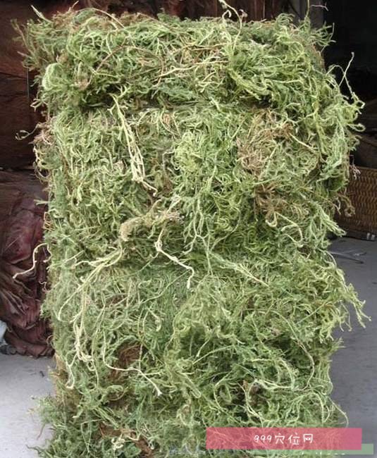 【伸筋草】_伸筋草的副作用_功效与作用